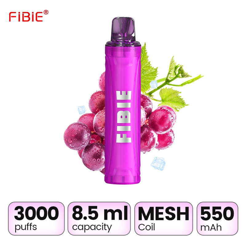 EBay Amazon Compras en línea Mech Coil 10ml 10 sabores Fibie Humi 3000 Puffs Shenzhen E Cigarette