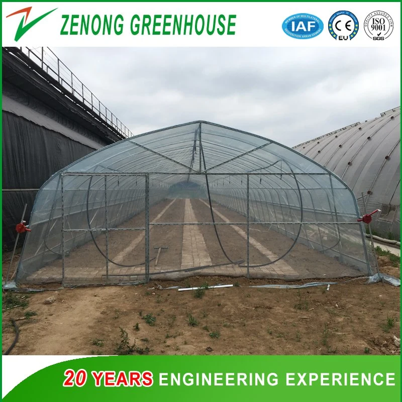 Easy Operation Small Size Single Span Po/PE/EVA Film Green House for Gardening/Hydroponics/Hotel Vegetable Cultivation