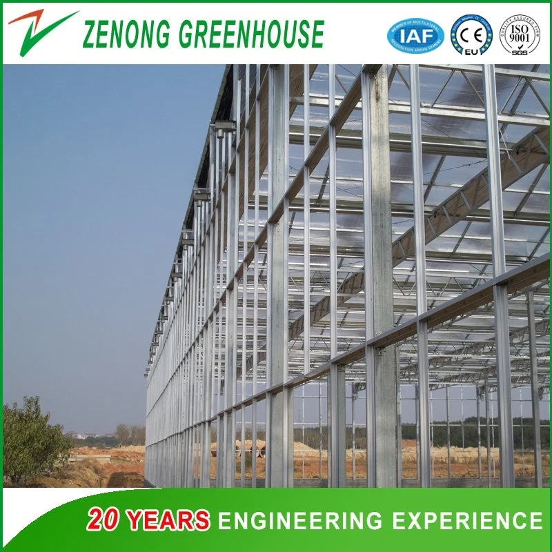 Galvanized Steel Frame Structured Building Material for Greenhouse