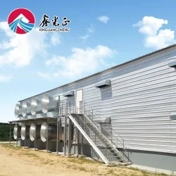 Algeria Steel Structure New Design and Low Cost and Fast Installe Chicken House (BYPH-2022120302)