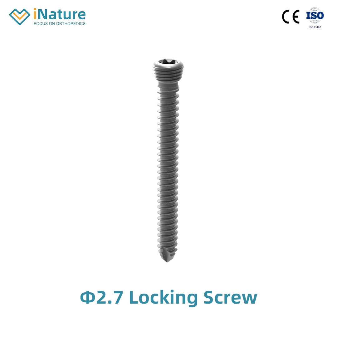 Top Quality Locking Screw Self-Tapping Orthopedic Screws