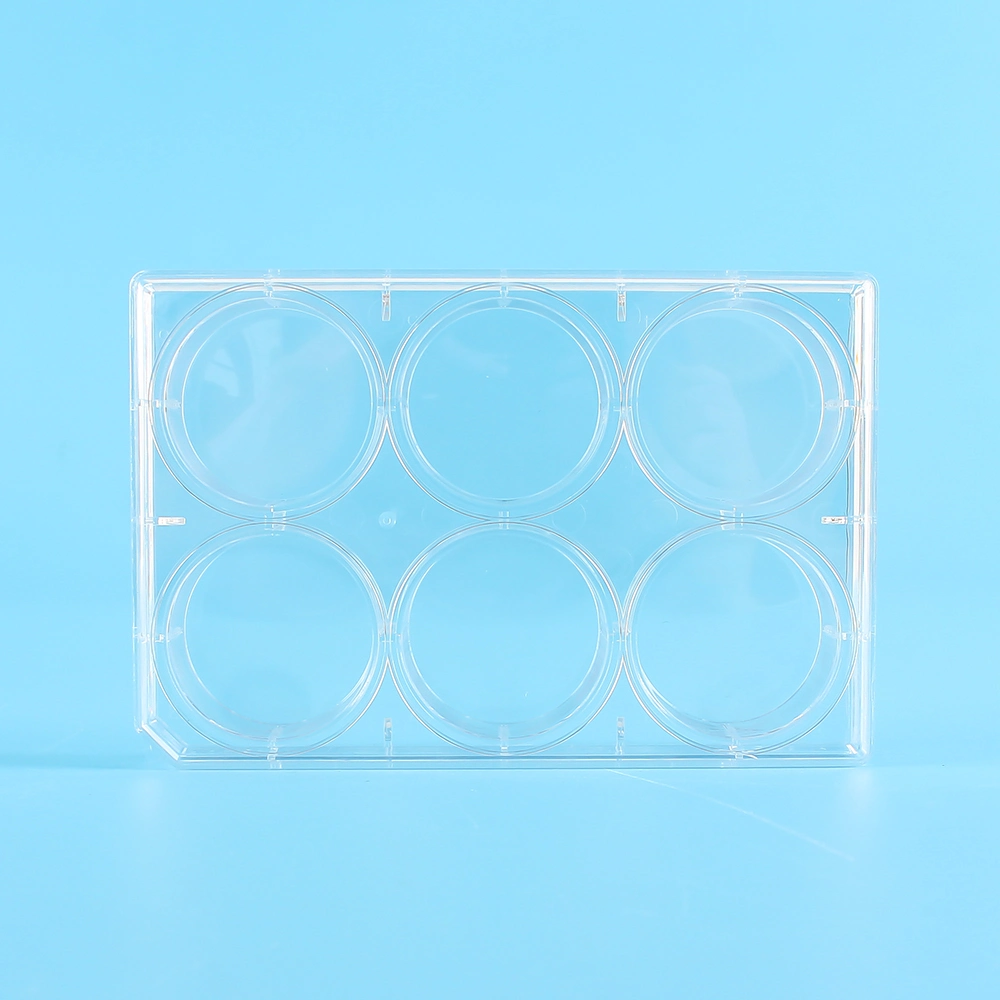 Factory Outlets Lab Disposables Servicebio Pure Sterilized Sterile Stackable Cell Culture Plate