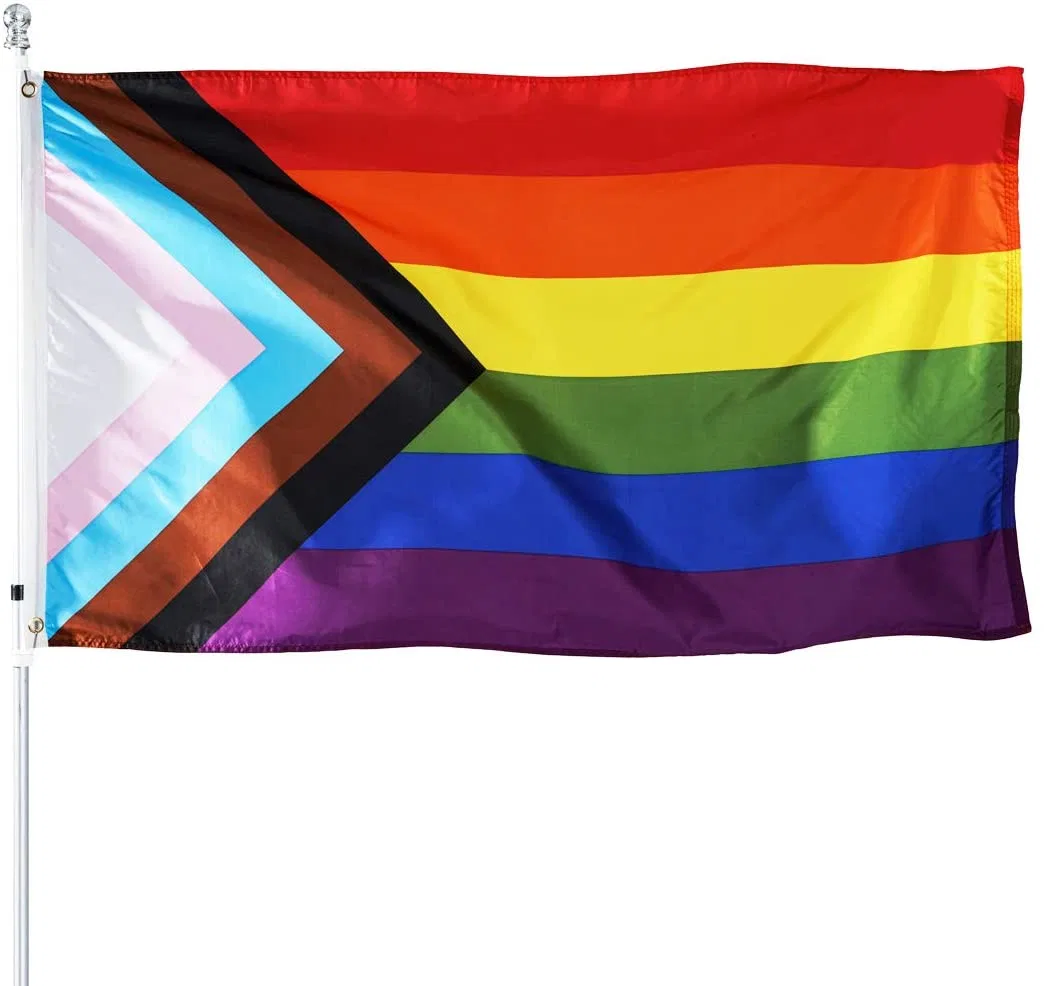 Custom Rainbow Progress Pride 3X5FT Lgbt Flags for Gay Lesbian Transgender Bisexual Asexual Pansexual Aromantic