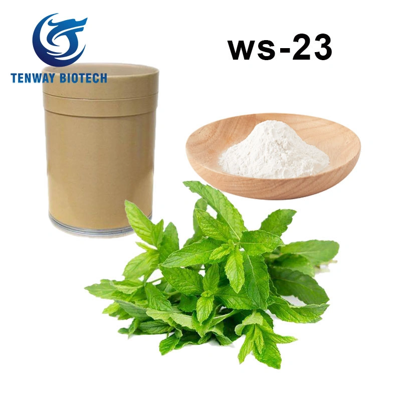 Ingrediente alimentario/aditivo alimentario Mint agente refrescante WS-23 Polvo WS-23 para la goma de mascar