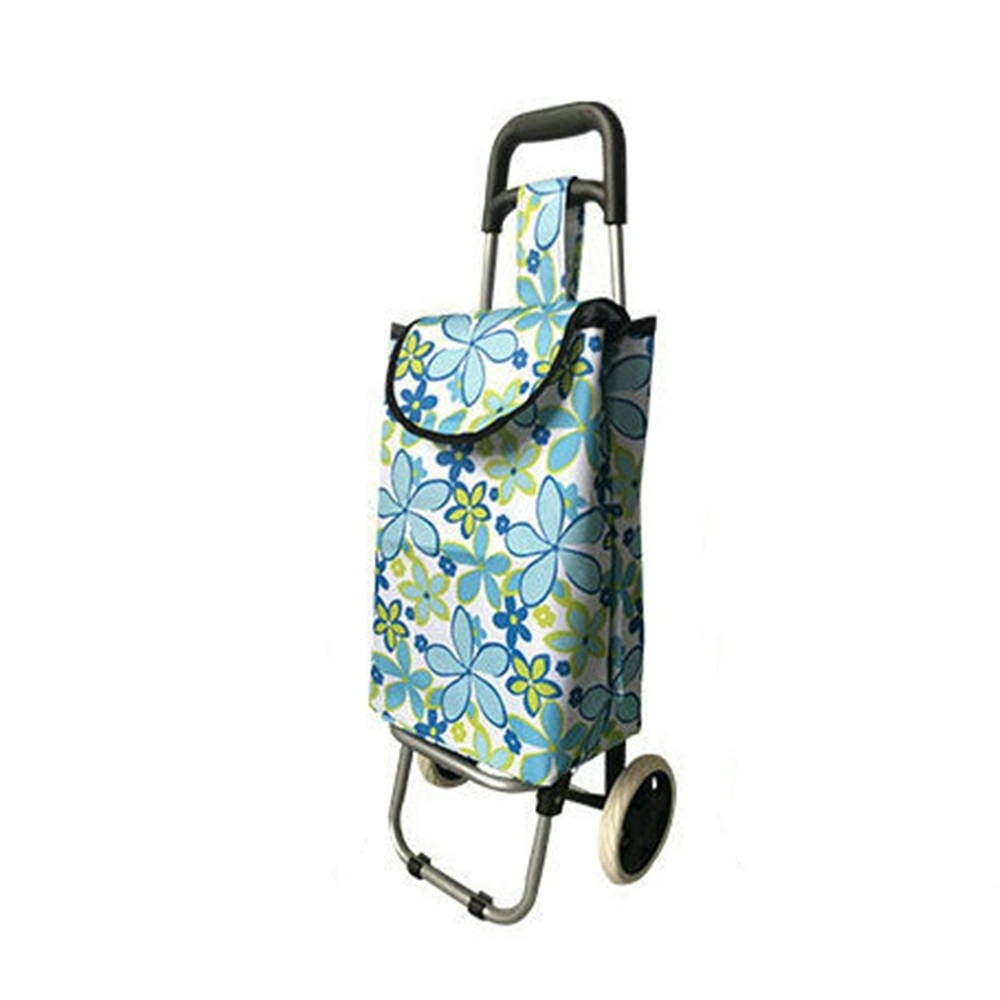 Printing Supermarket Grocery Foldable Shopping Trolley Bag