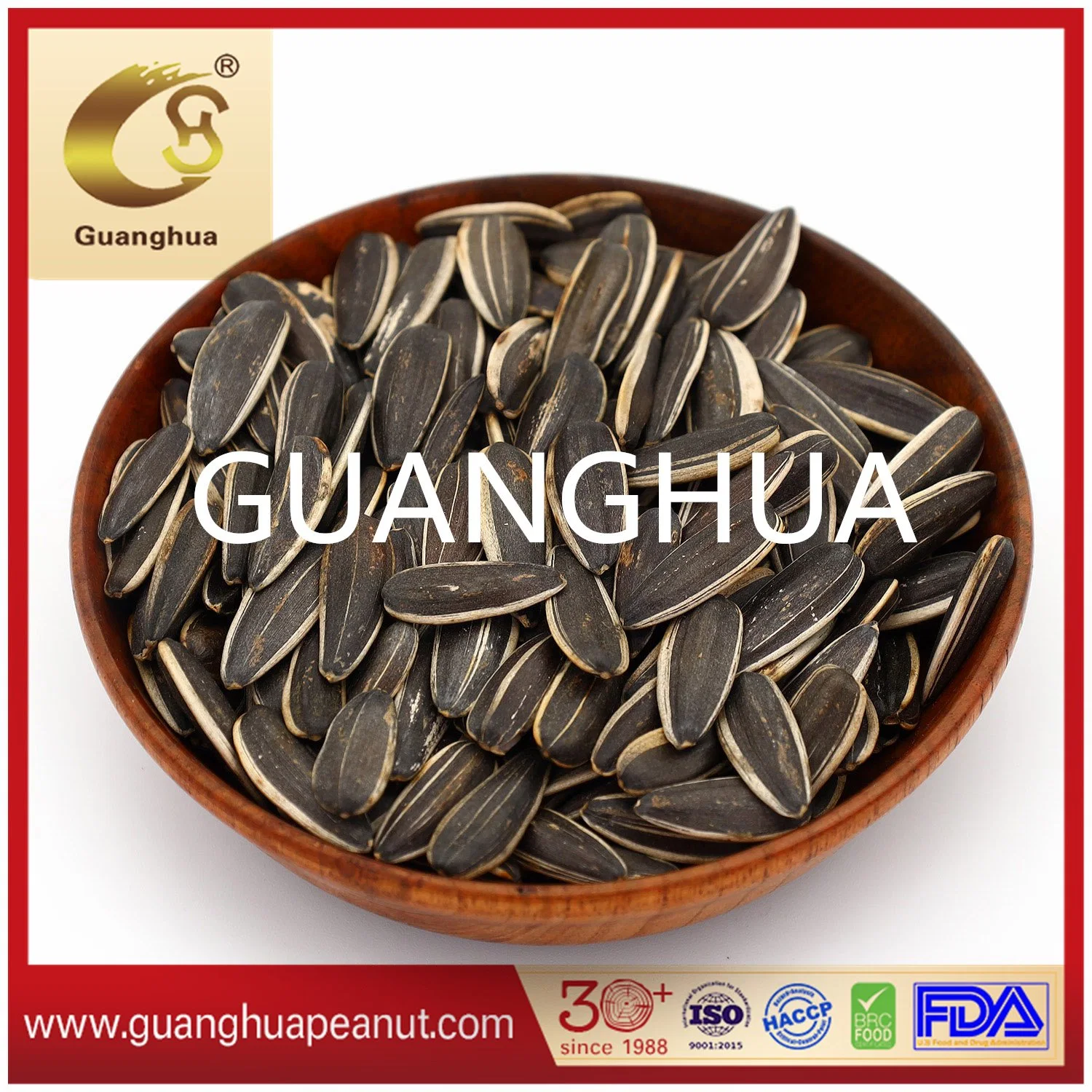 Best Quality 2021 Sunflower Seeds