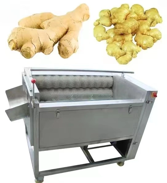 Food Processing Vegetable Equipment 2016 Stainless Steel Brush Type Carrot Potato Washer and Peeler Machine