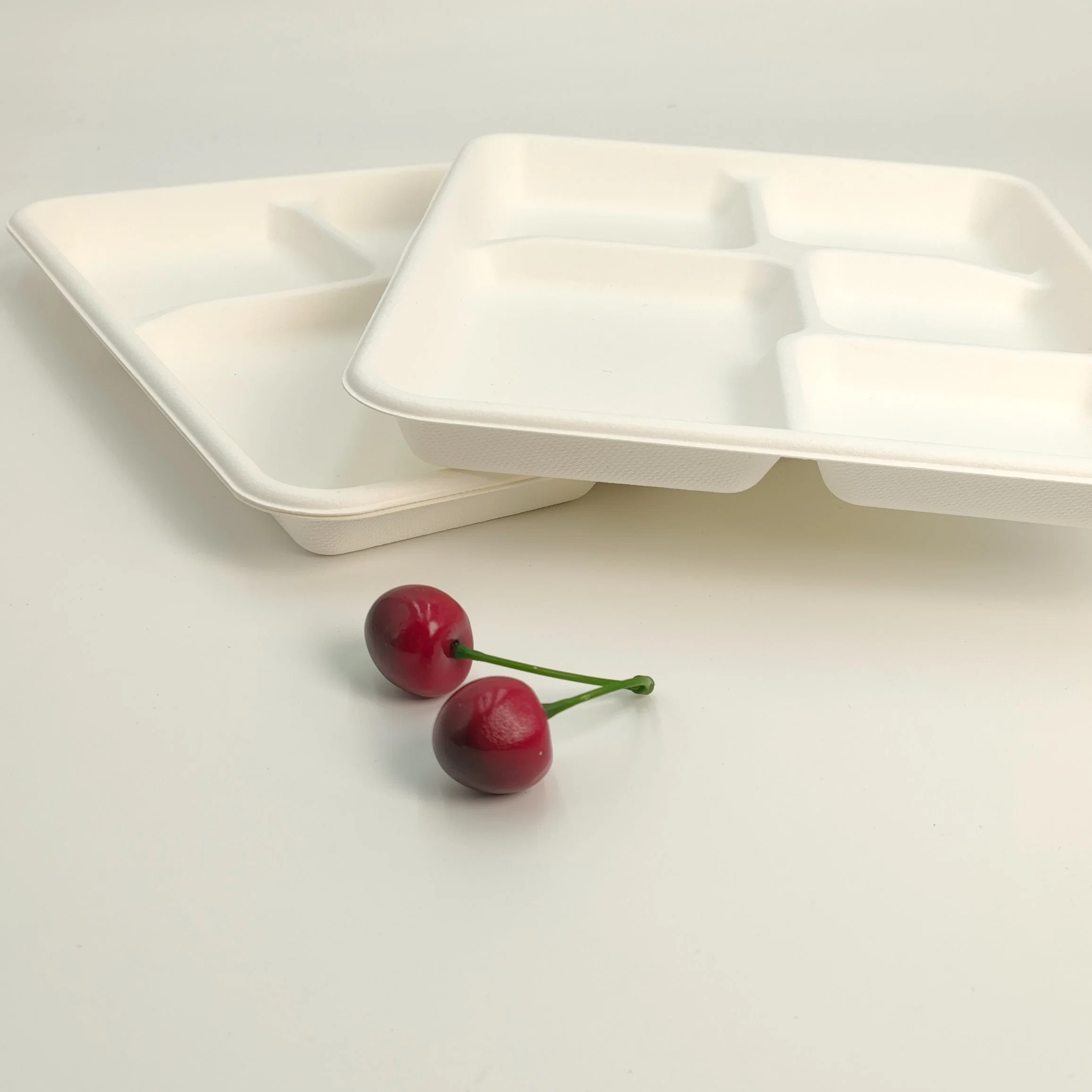 100% Biodegradable Compostable Paper Sugarcane Pulp Food Container Dessert Bagasse Tray with 5 Compartment