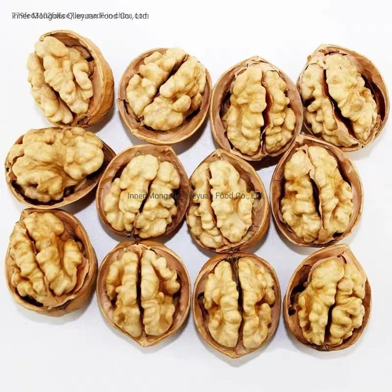 Cheap Wholesale/Supplier Price Top Quality Walnuts Chandler Inshel Walnuts