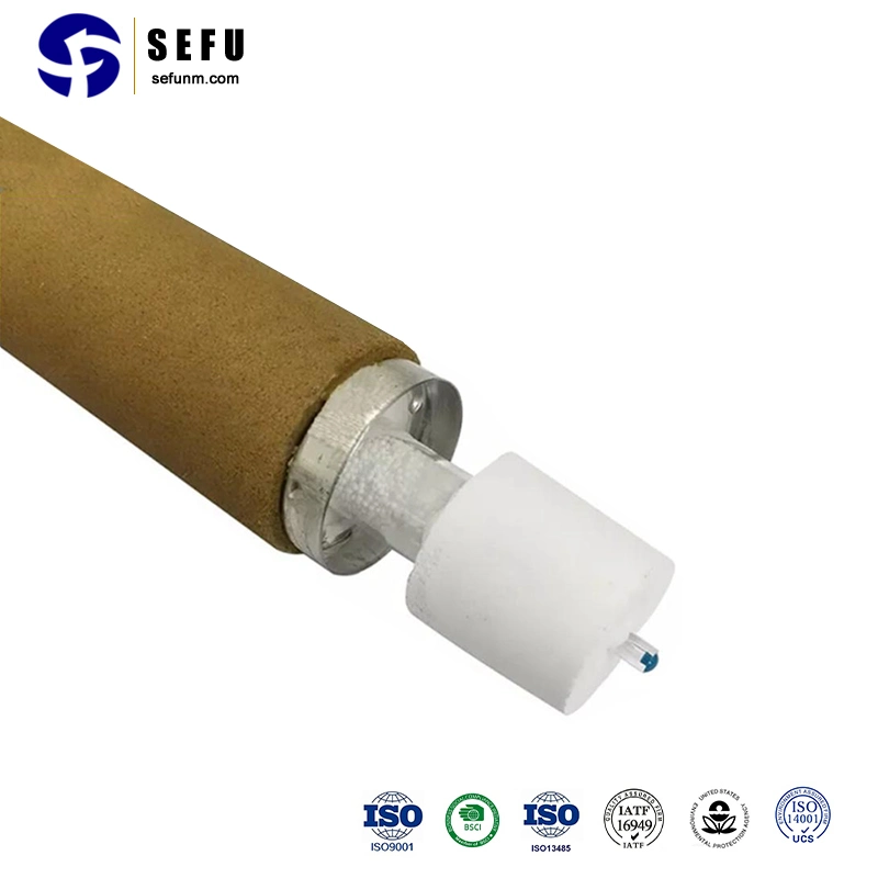 Metallurgical Sensors Thermocouple Supply Immersion Probe Hydrogen Content Measurement for Steel Plant