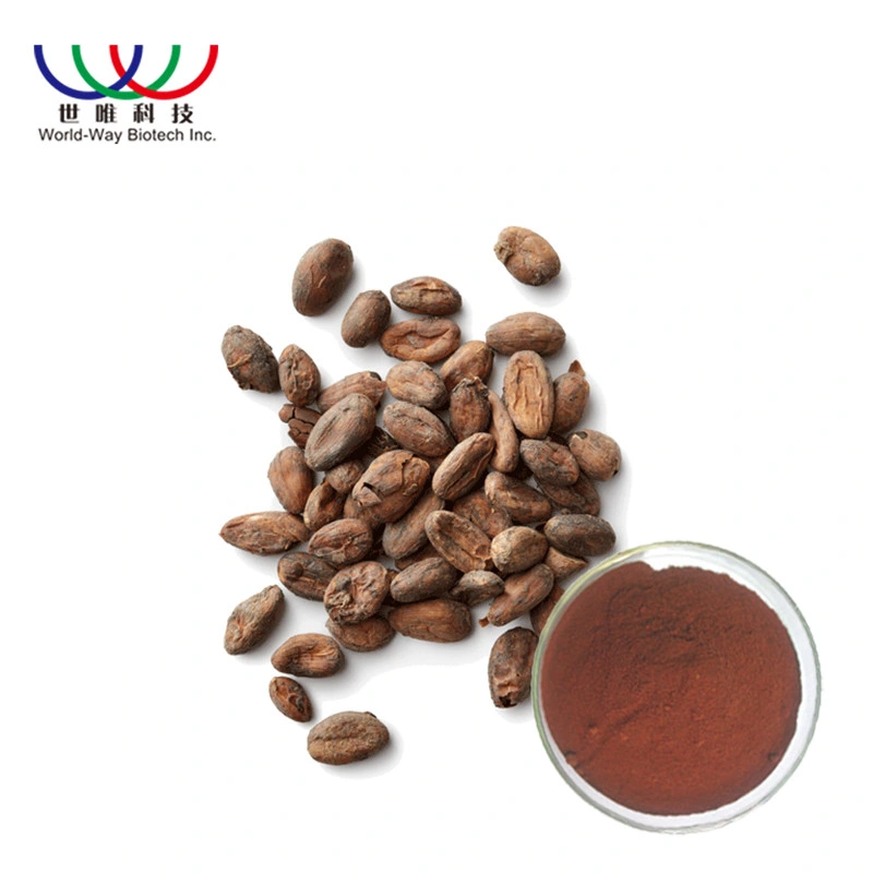 Free Sample конкурентоспособная цена theobromine полифенол Cocoa Фасоль порошок чистый Экстракт какао