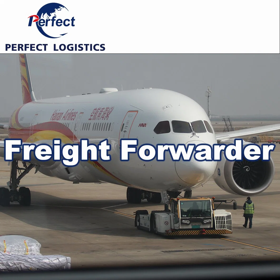 Sea Freight Transportation /Shipping Agent/Shipping/Logistics Service From Shenzhen China to France Freight Forwarder