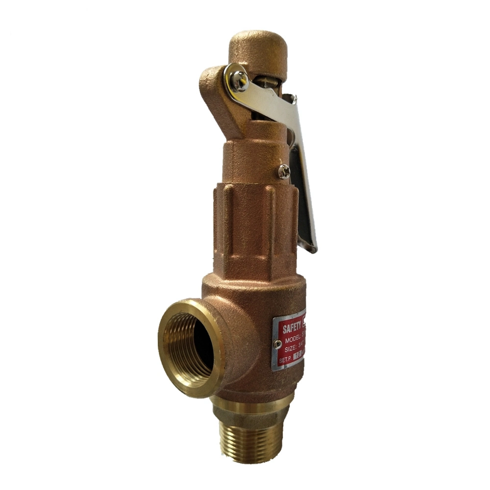 Industrial Brass Style Air Gas Steam Boilers Safety Valve