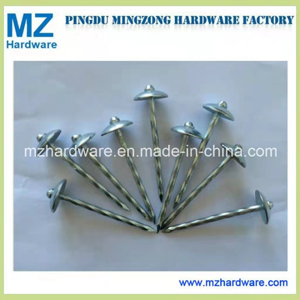 Smooth Twisted Screw Shank Umbrella Head Roofing Nail