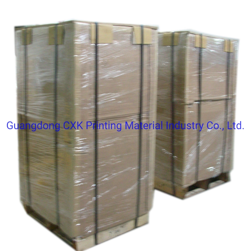 China Offset Printing Ctcp Plate