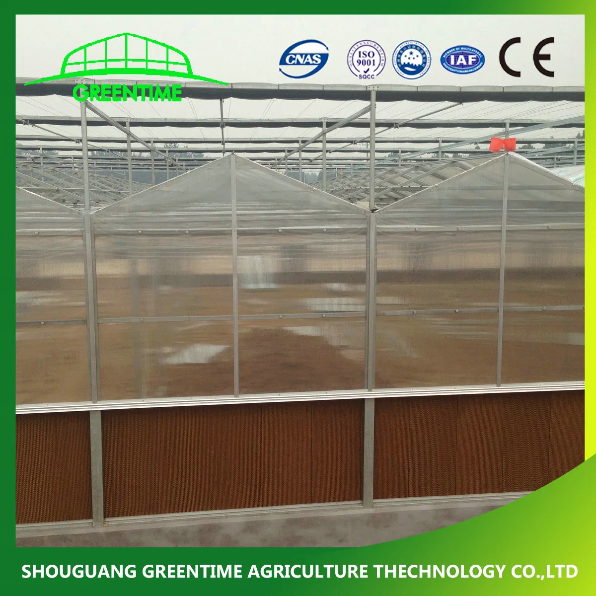 Commercial 6mm Polycarbonate Greenhouse with Growing System