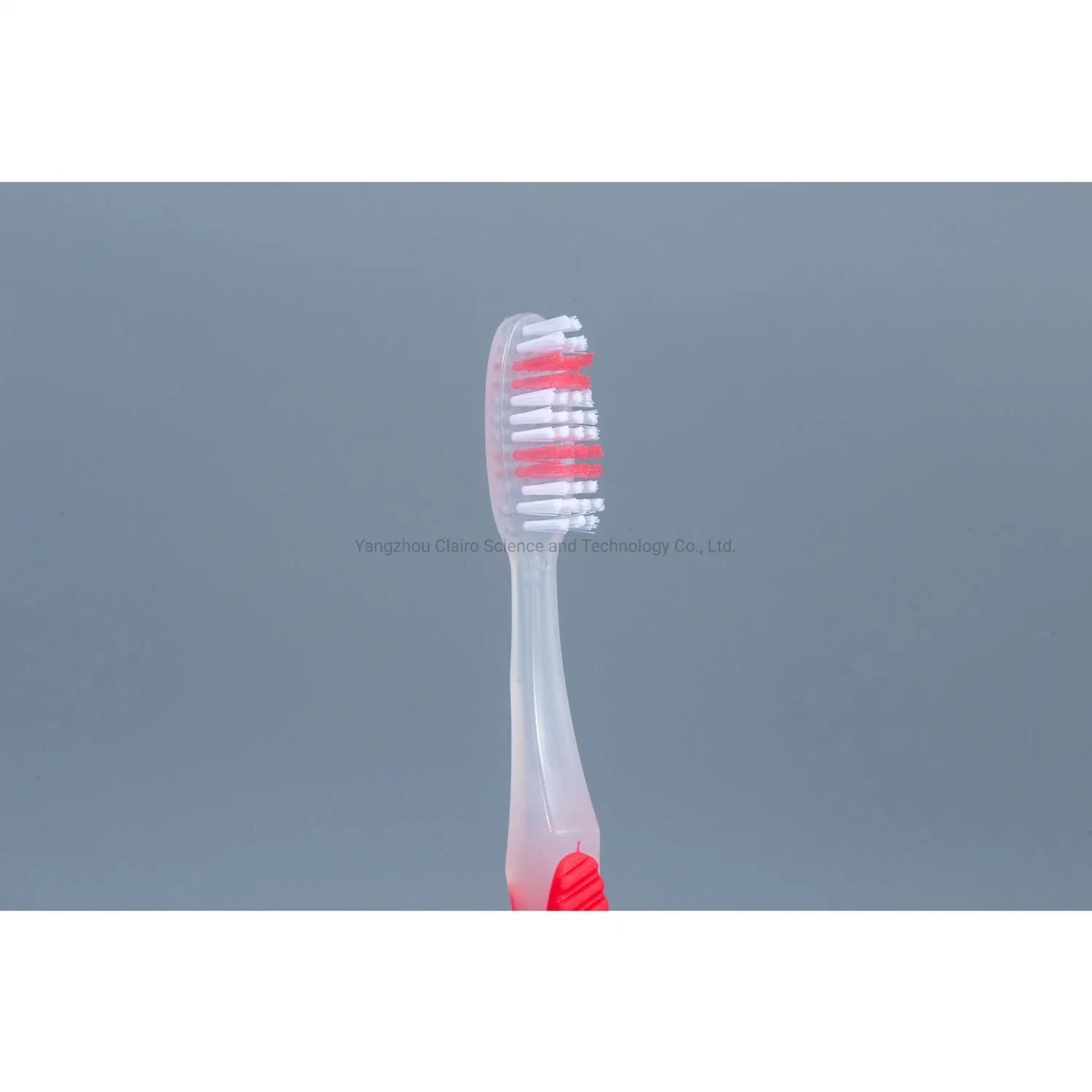 FDA Approval Plastic Toothbrush Home Use Time Delivery