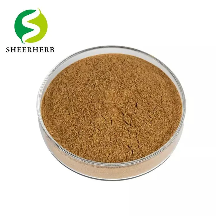 OEM Private Label Green Coffee Bean Extract and Ashwagandha Extract Complex Capsules