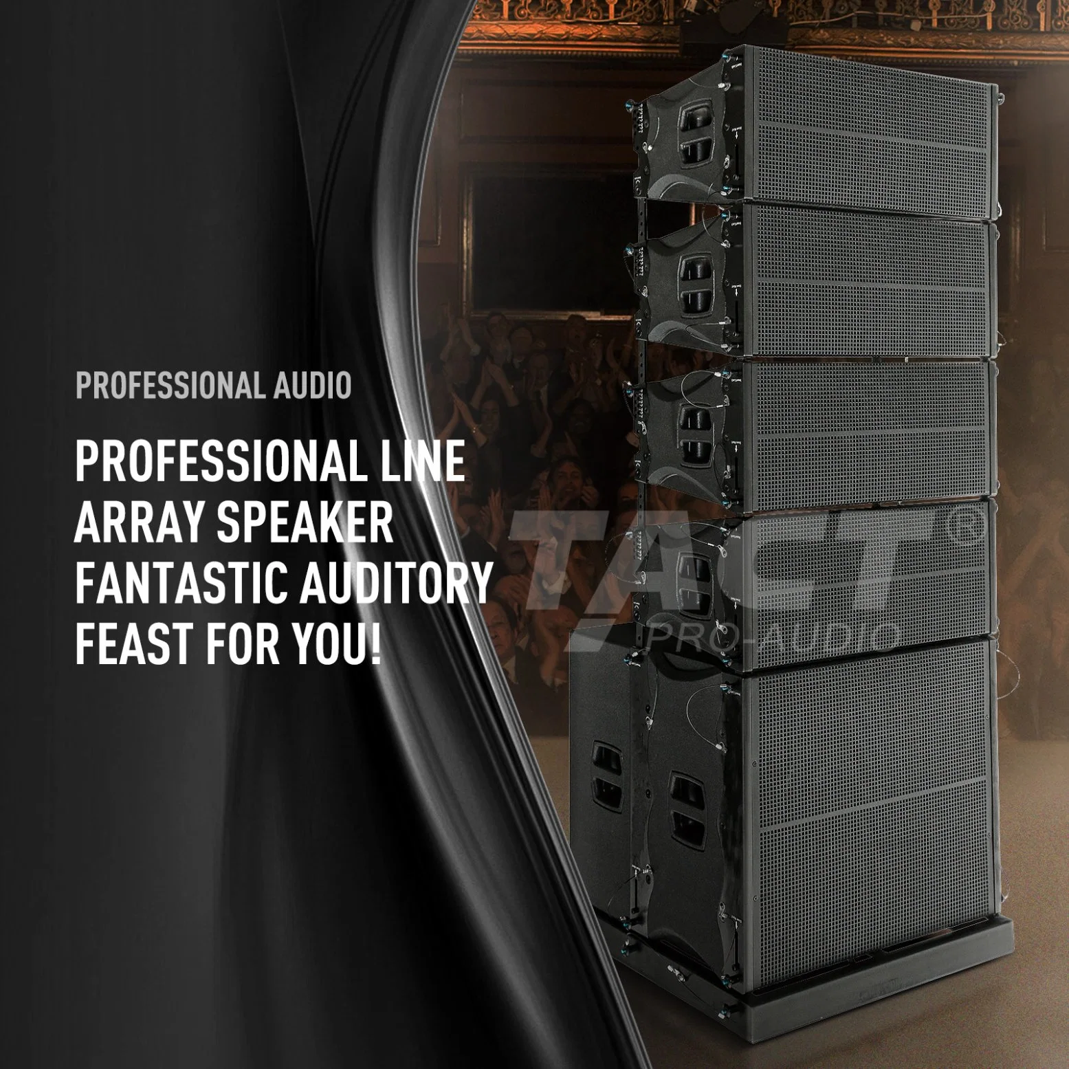 Tact Tq210 Professional Speaker Double 10 Zoll Passive Line Array