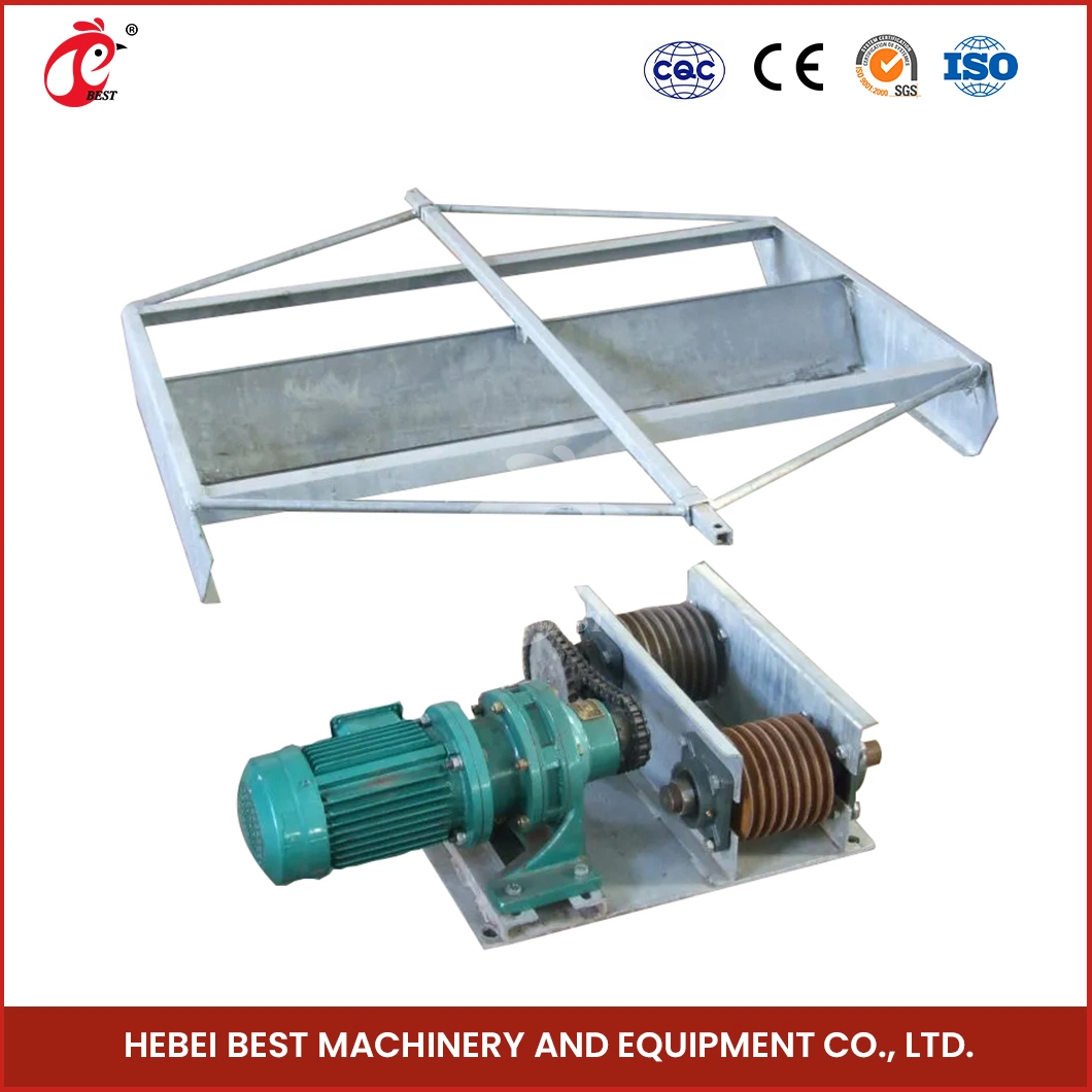 Bestchickencage Manure Removal System China Scraper Type Chicken Manure Removal Equipment Supplier Customized Easy Installation Manure Removal System for a Farm