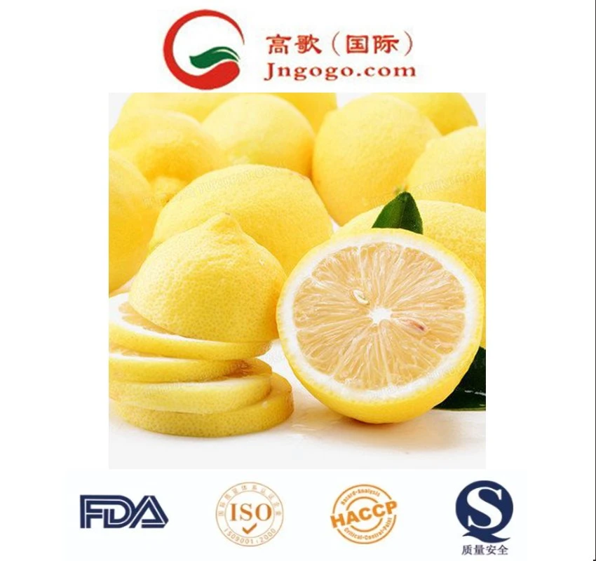 Chinese Wholesale Fresh Citrus Fruit High Nutrition Yellow Lemon