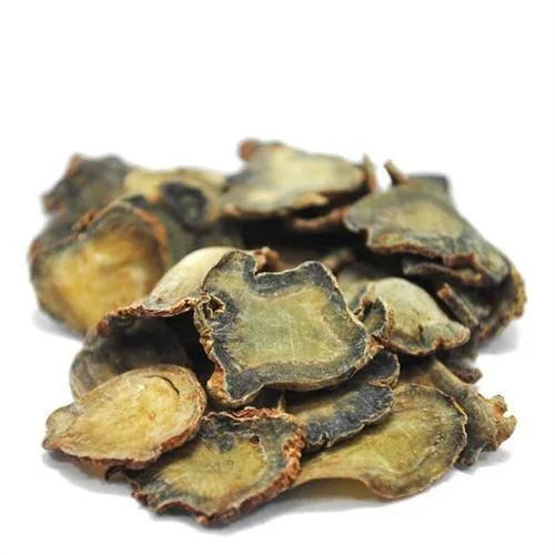 San Qi Pseudo-Ginseng Panax notoginseng Root