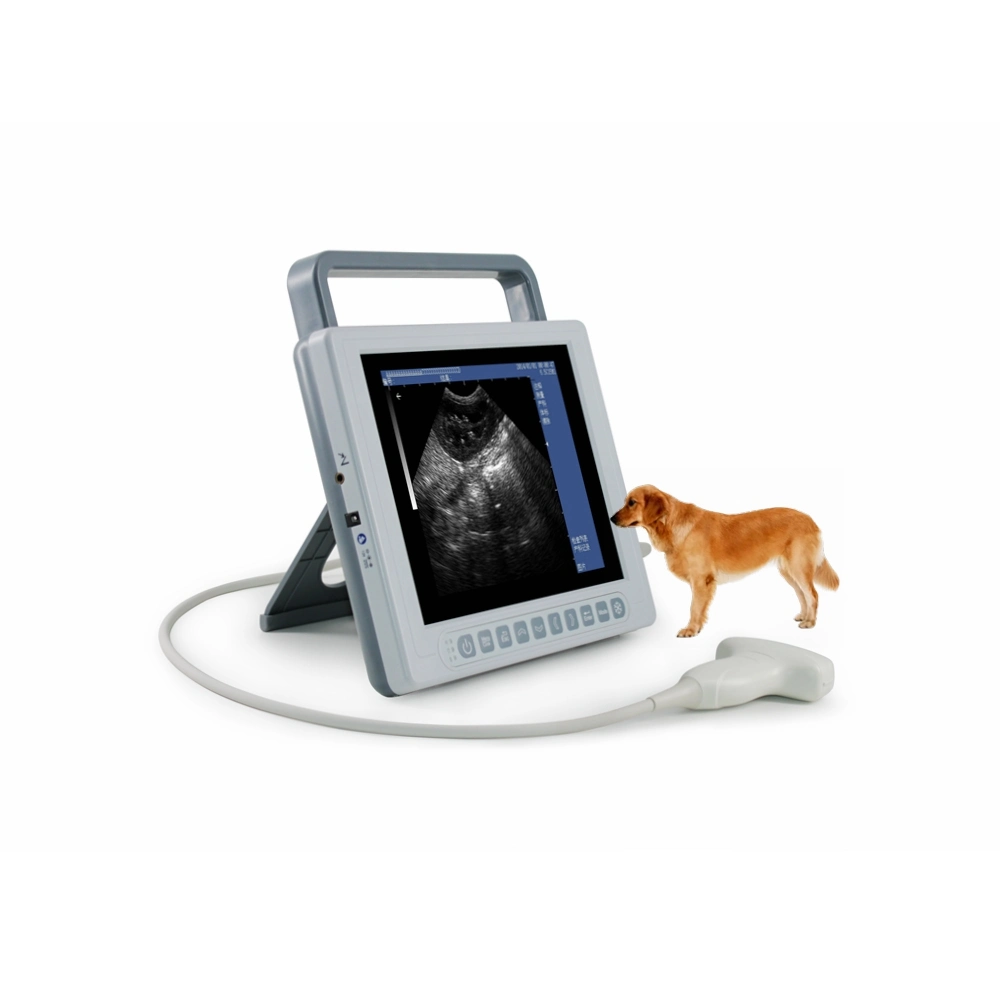 CE Approved China Best Price Medical Ultrasound Equipments Veterinary Ultrasound Used for Vet Clinic