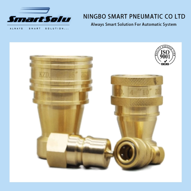 Brass Double Self-Sealing Female Thread Hydraulic Quick Connector