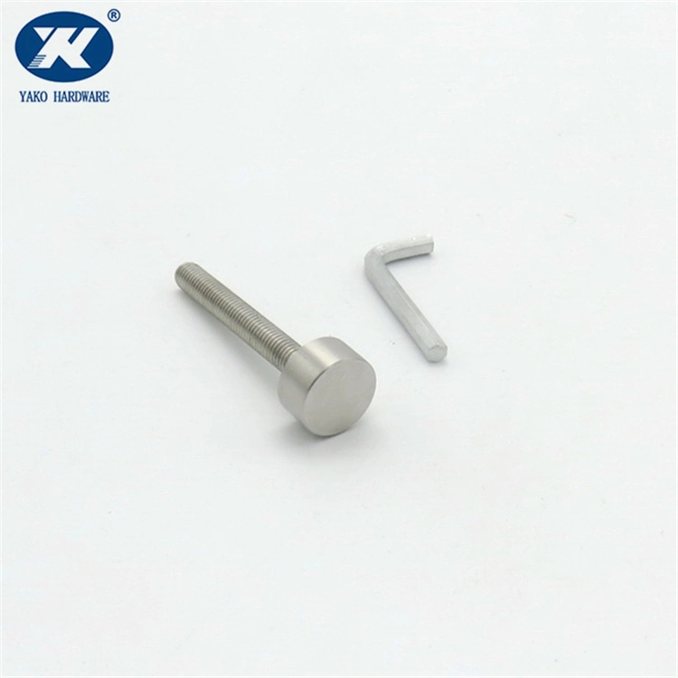 Stainless Steel Glass Standoff Glass Railing Advertisement Screw Glass Clamp Fixing Pin