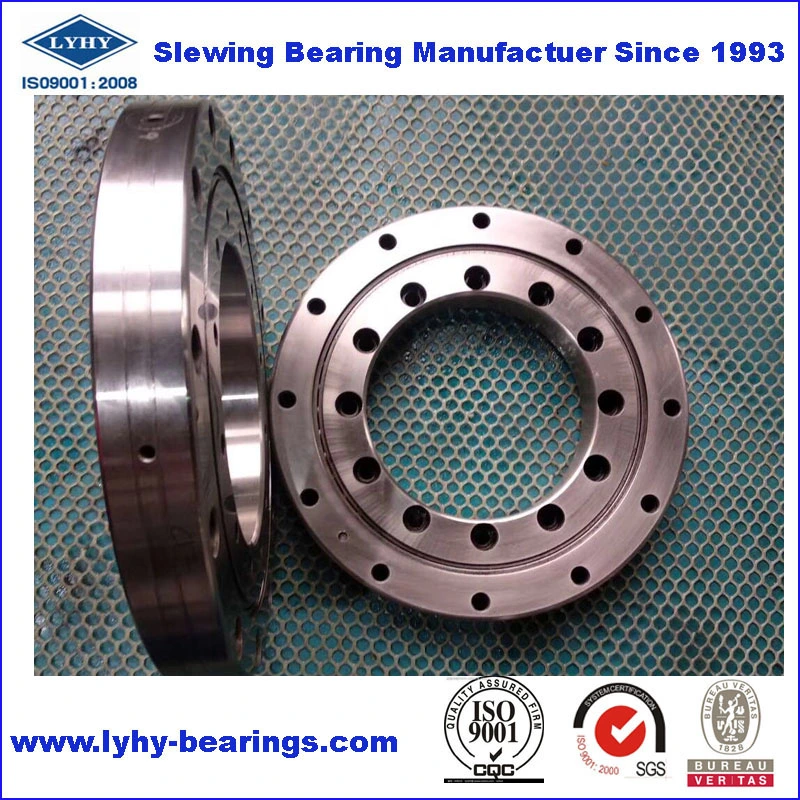 Slew Bearing Slewing Gear with Nickel Plated for Water Treatment Equipment (010.20.200)