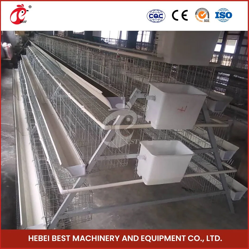 Bestchickencage Ordinary Type Layer Cage China Premade Chicken Layer Coop Supplier Customized Hot-DIP Galvanized Steel Material 120 Eggs Laying Chickens Cages