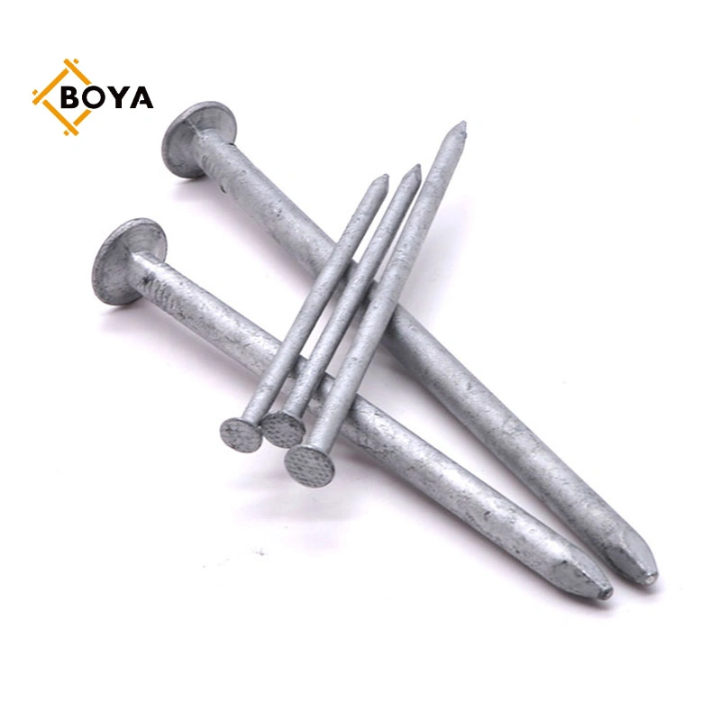 Galvanized Common Nail/Polished Nail/Building Nail/Iron Nail/Hardware Used for Building Construction