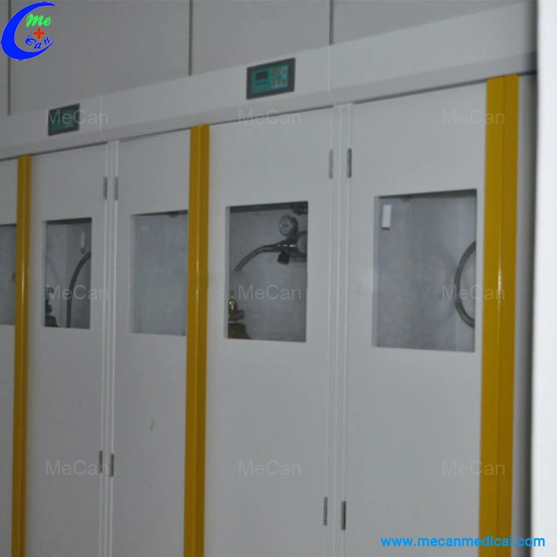 Lab Gas Cylinder Cabinets High Cabinet for Laboratory