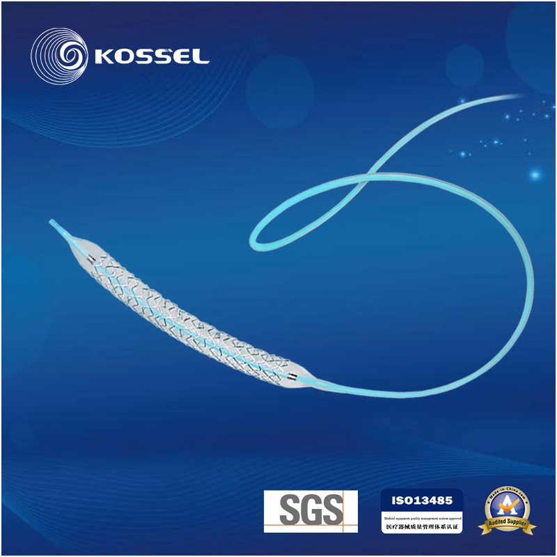 Medical Devices Semi Compliant Balloon Dilatation Catheter