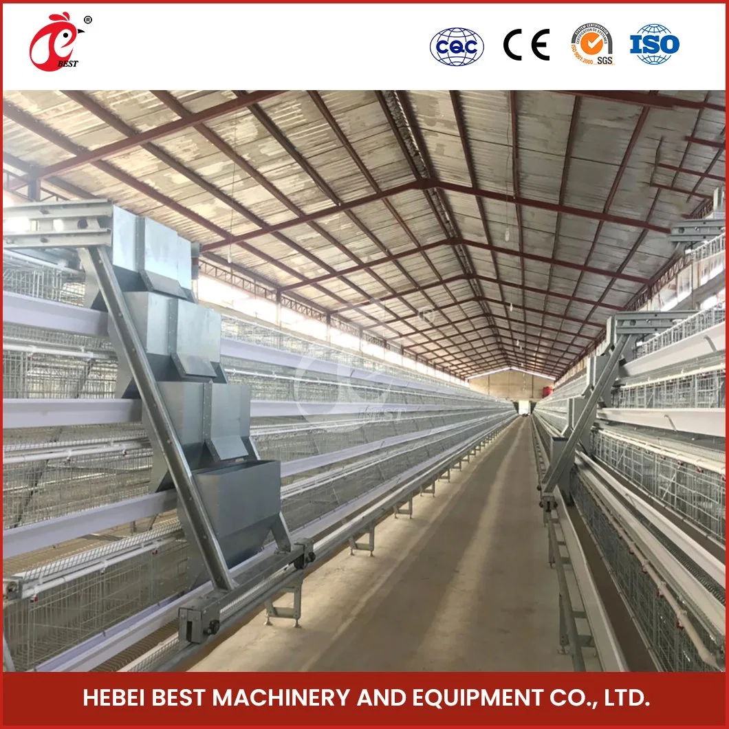 Bestchickencage Ordinary Type Layer Cage China Chicken Layer Cages for Sale Manufacturing Wholesale/Supplier Easy Control Parasitic Diseases Egg Chicken Cage for Sale