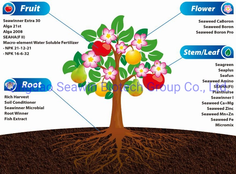 Alga Phosphite K-Supply N and P Nutrition Rapidly Control Disease and Help Fruit Expansion