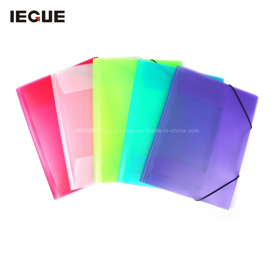 Clear Custom A4 Plastic Expanding Hanging File Folder