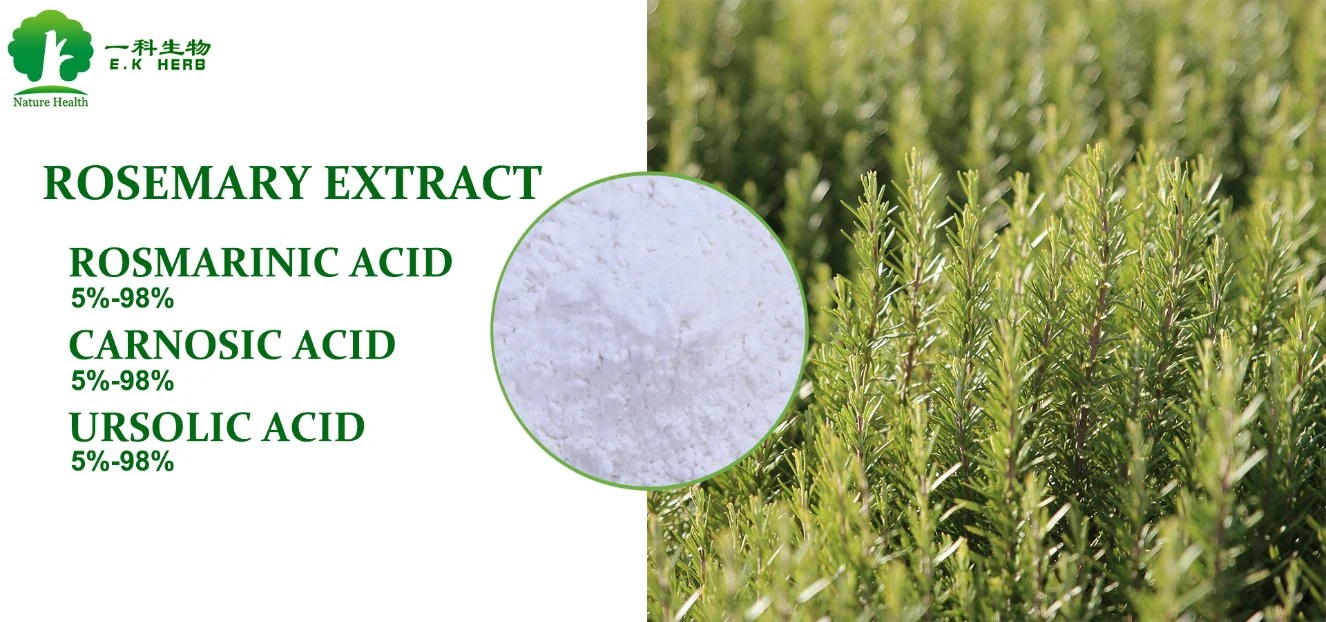 E. K Herb Feed Grade for Animals Rosemary Extract Botanical Antioxidant Carnosic Acid/Rosmarinic Acid/Ursolic Acid Rosemary Extract