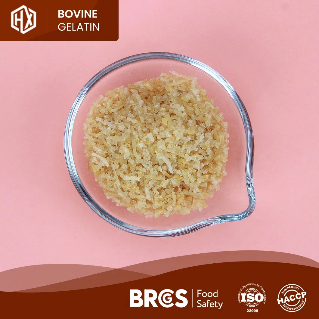 80-300Haoxiang bloom gelatina de pele de bovino comestíveis amostra grátis de pó de gelatina gelatina de pele bovina China Fabricantes High-Purity Grau Alimentício Gelatina de pele de bovino