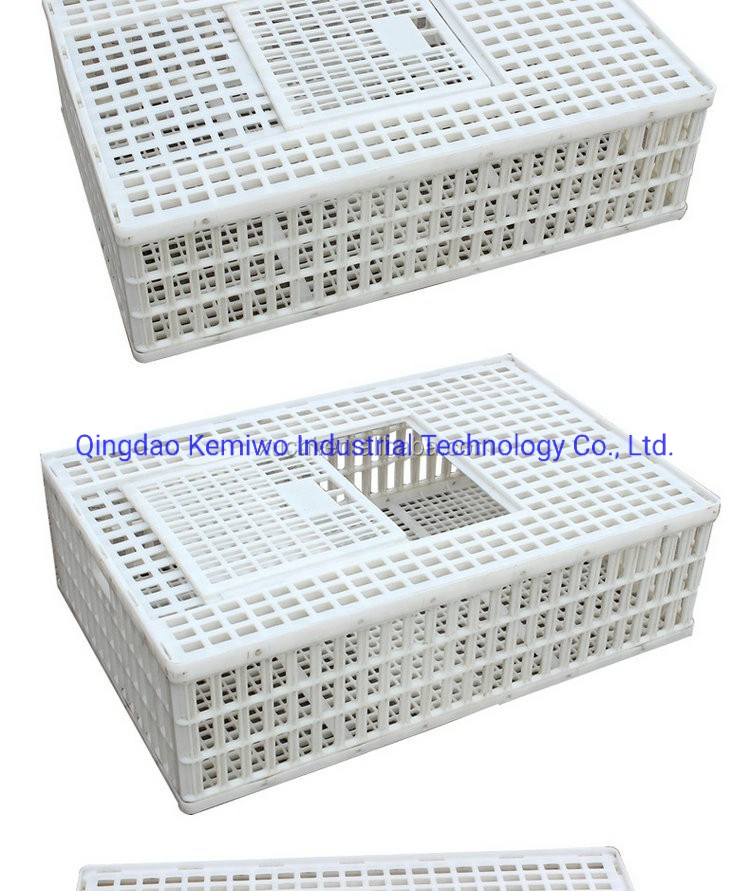 Wholesale/Supplier Poultry Adult Chicken/Duck/Goose Plastic Transport Cage Turnover Box