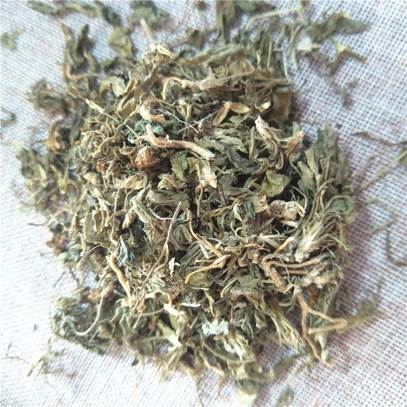 Zi Hua Di Ding Dried Herbs Chinese Viola Phillipina Herba