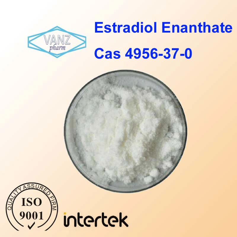 Hubei Vanz Pharm Estradiol Enanthate Pulver 99% CAS 4956-37-0