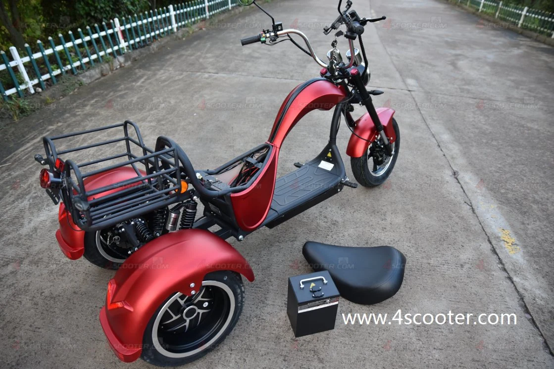 EU Warehouse Best Buy EEC 3 Wheel Citycoco Trike Scooter