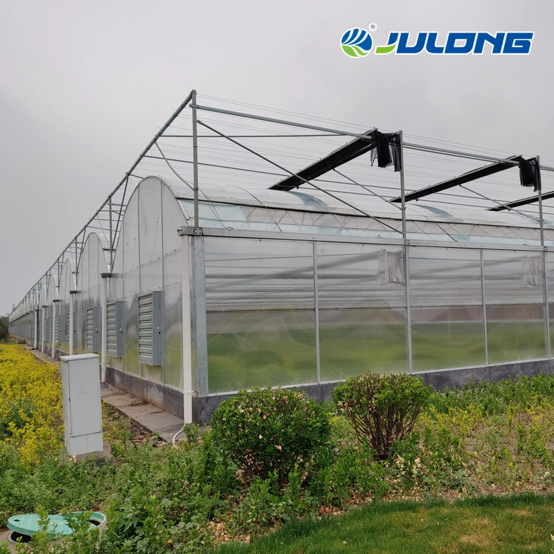 Agricultural Tomato Strawberry Growing Po/PE Plastic Film Greenhouse with Installation