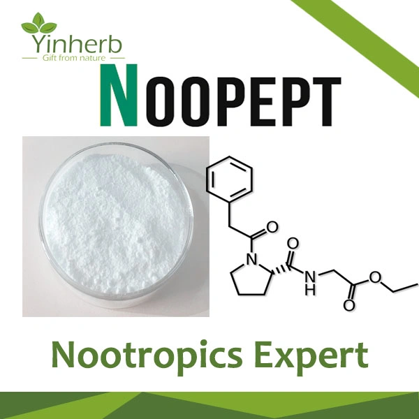 Laboratorio Yinherb Nootropics Noopept, Gvs-111 polvo crudo durante 10 años con la calidad estable