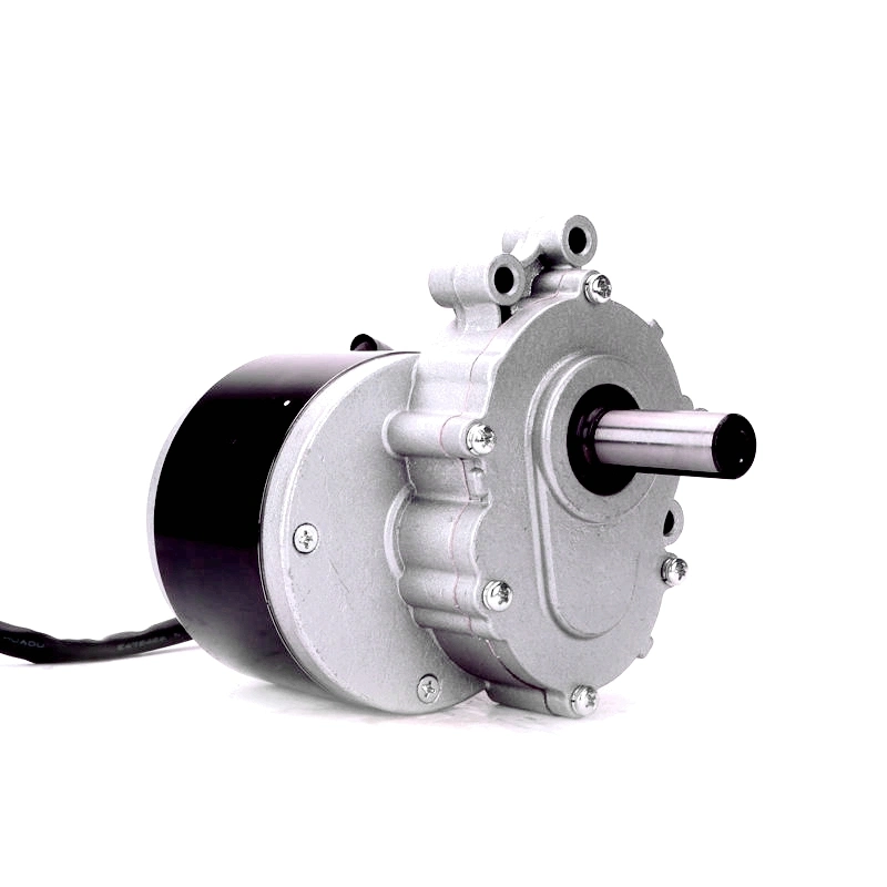 120rpm 160rpm 75rpm Hot Sale DC 24V 250W Electric Vehicle Motor