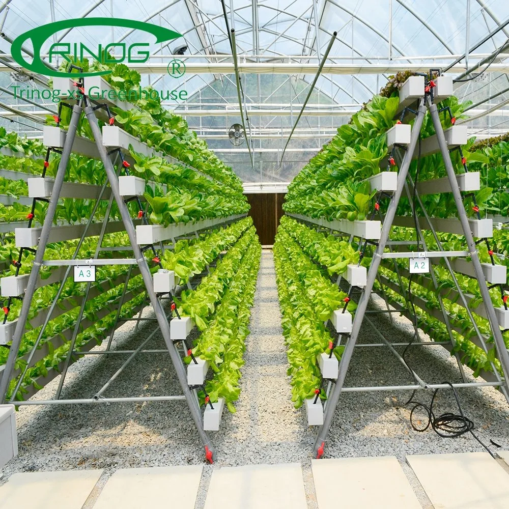 Trinog Greenhouse EIN Rahmen stehen vertikale hydroponics System zum Verkauf