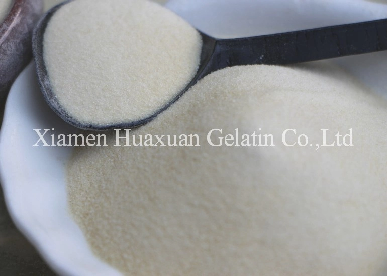 Halal Edible Gelatin Powder Ingredients for Cakes