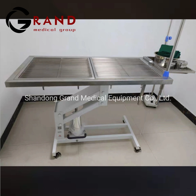 Economical Veterinary Instrument Animal Equipment Mechanical Hydraulic Veterinary Delivery Bed Surgery Operating/Operation Examination Table