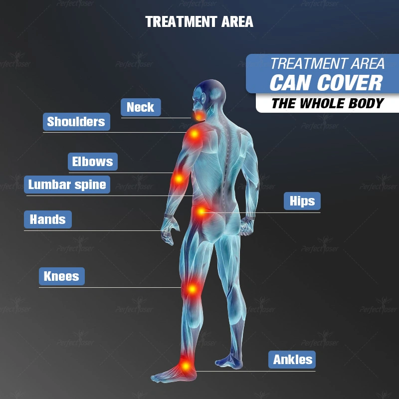 Gesundheitswesen Physio Magneto Emtt Schmerzlinderung Laser-Therapie Laser Medizinische Geräte